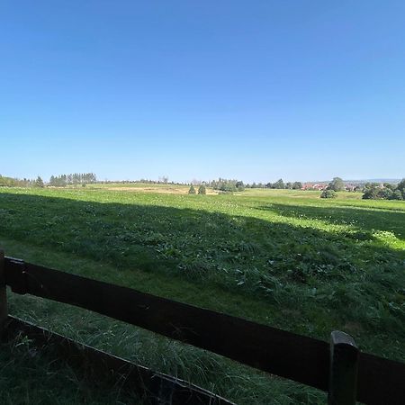 Bergwiesenblick38678 Clausthal-Zellerfeld Εξωτερικό φωτογραφία