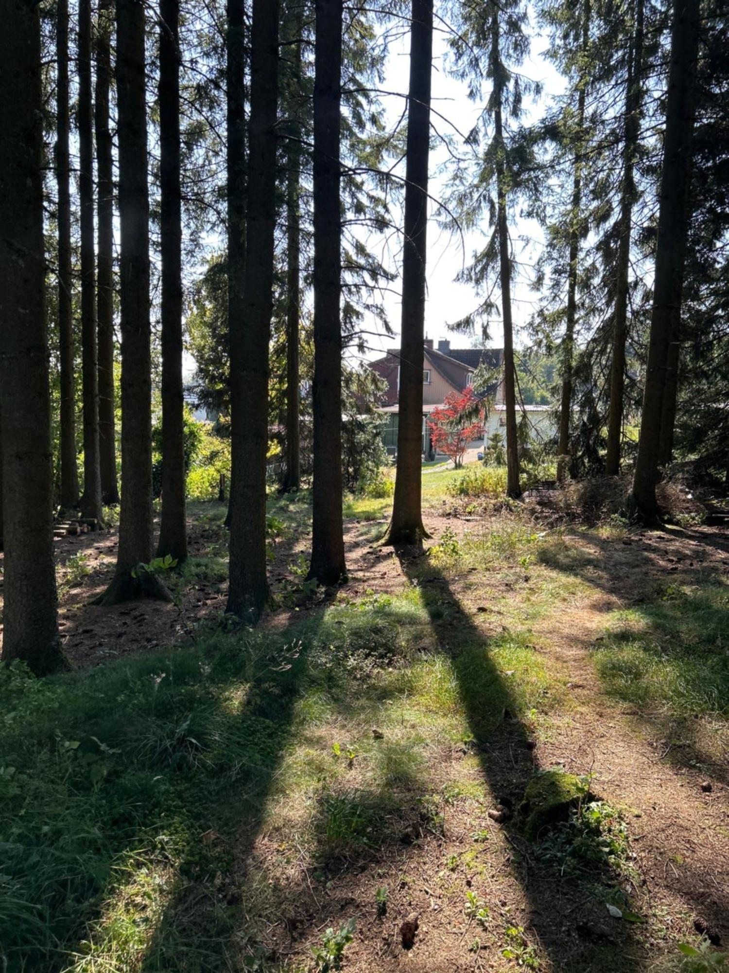 Bergwiesenblick38678 Clausthal-Zellerfeld Εξωτερικό φωτογραφία